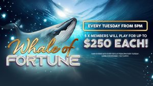 Club Robina Whale of Fortune Nightlife